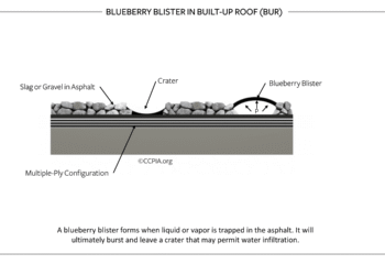 Blueberry Blister in Built-Up Roof (BUR)