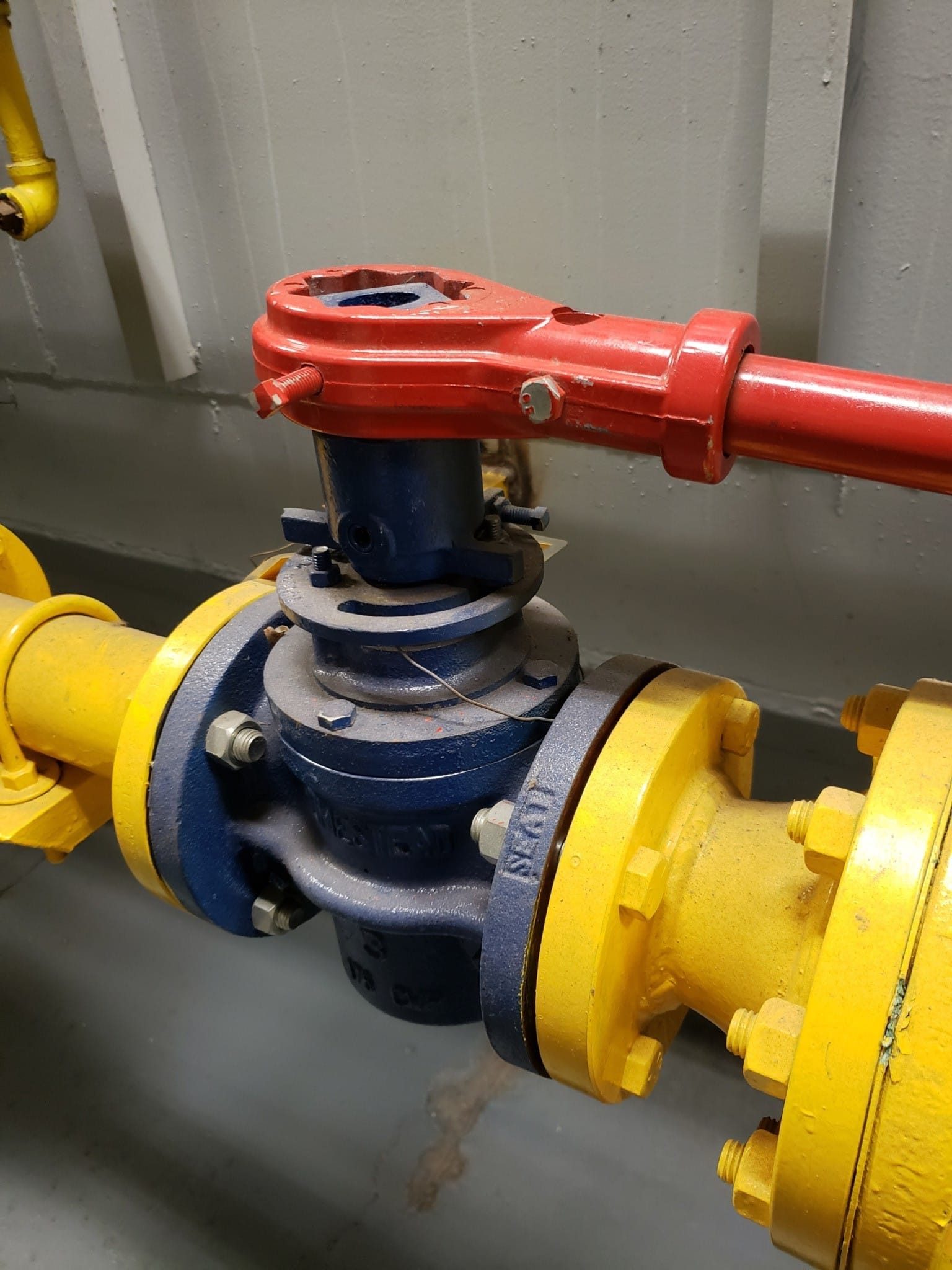 Fuel or Gas Train for Commercial Boilers CCPIA