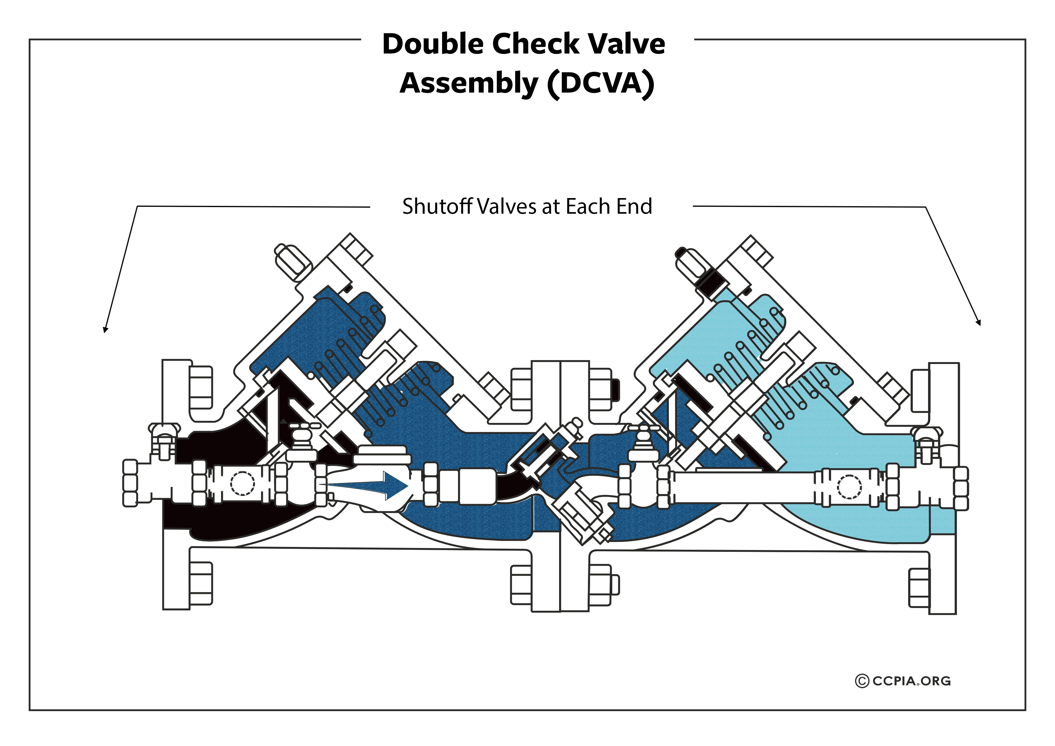 Double Check Valve Backflow Preventer Inspection
